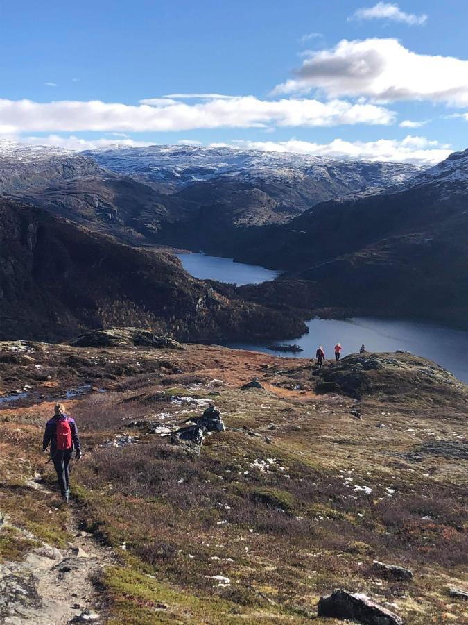 Vatnahalsen Hoyfjellshotell Myrdal Zewnętrze zdjęcie