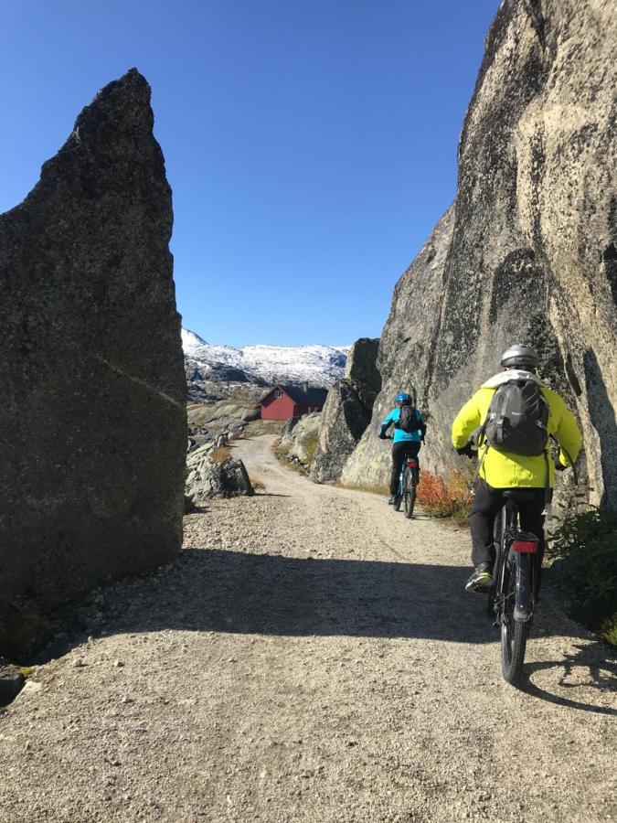 Vatnahalsen Hoyfjellshotell Myrdal Zewnętrze zdjęcie