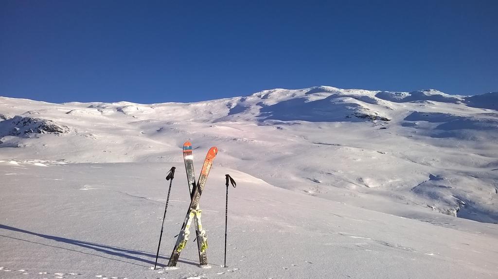 Vatnahalsen Hoyfjellshotell Myrdal Zewnętrze zdjęcie