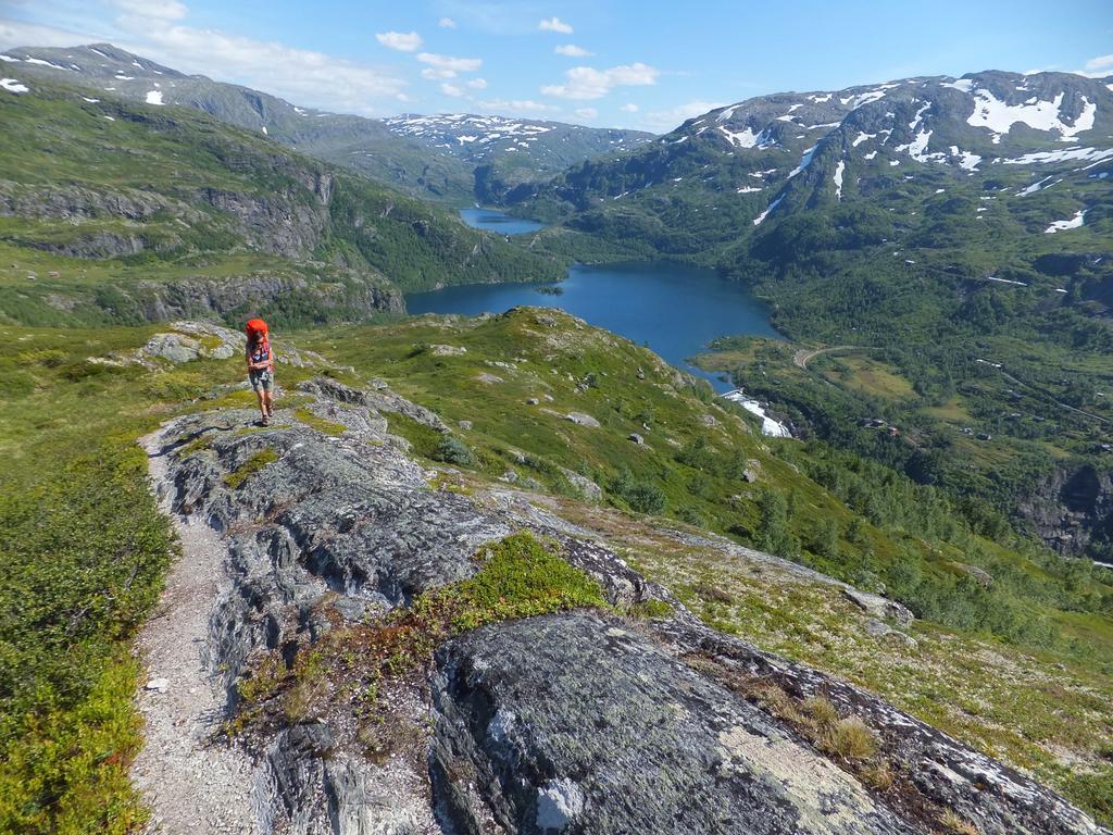 Vatnahalsen Hoyfjellshotell Myrdal Zewnętrze zdjęcie